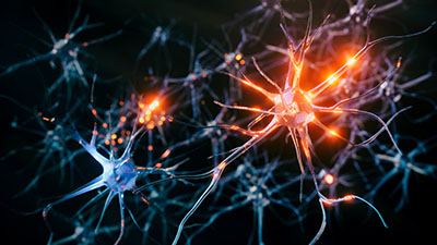 Understanding Concussions