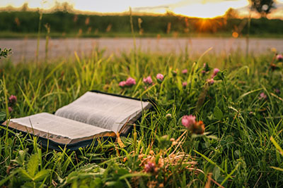 Buddhism 101: The Principles of Awakened Living