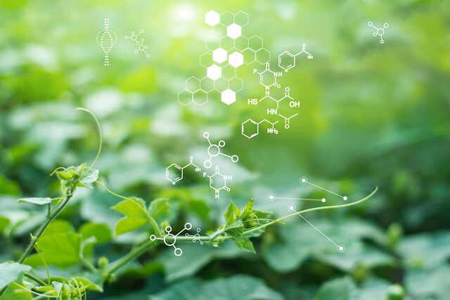 Biology 360: From Molecules to Ecosystems