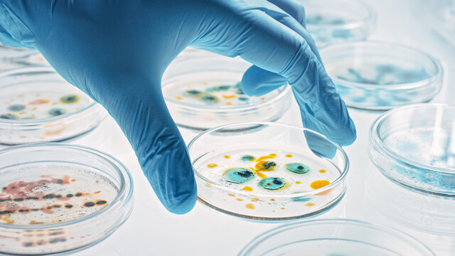 Microbiology Mastery: Unlocking the Foundations of Life