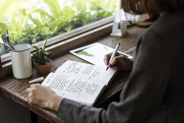 Novel Writing 101